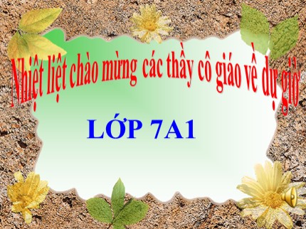 Bài giảng Tin học Lớp 7 - Bài thực hành 8