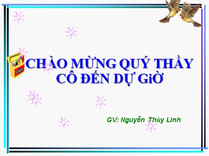 Bài giảng Tin học Lớp 7 - Tiết 17: Sử dụng các hàm để tính toán - Nguyễn Thùy Linh