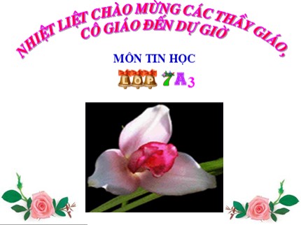 Bài giảng Tin học Lớp 7 - Tiết 54 : Trình bày dữ liệu bằng biểu đồ (Tiết 1)