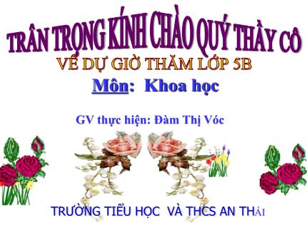 Bài giảng Khoa học Lớp 5 - Bài: Phòng bệnh sốt xuất huyết - Năm học 2023-2024 - Đàm Thị Vóc