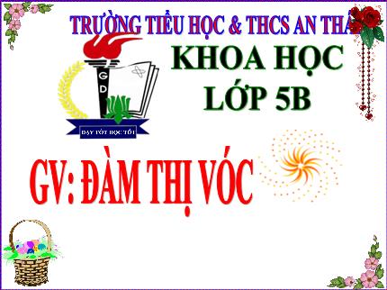 Bài giảng Khoa học Lớp 5 - Tiết 26: Đá vôi - Năm học 2023-2024 - Đàm Thị Vóc