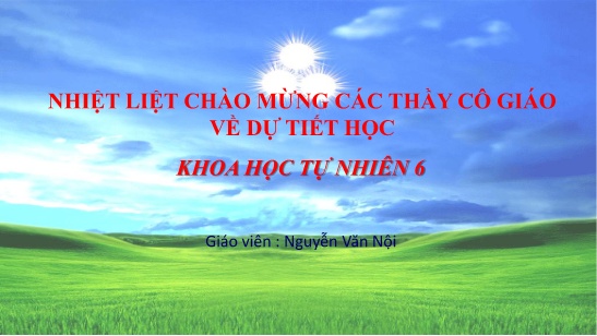 Bài giảng Khoa học tự nhiên 6 - Bài 9: Một số lương thực, thực phẩm - Nguyễn Văn Nội
