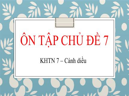 Bài giảng Khoa học tự nhiên Lớp 7 (Cánh diều) - Ôn tập chủ đề 7