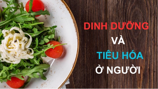 Bài giảng Khoa học tự nhiên Lớp 8 - Bài 29: Dinh dưỡng và tiêu hóa ở người