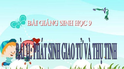 Bài giảng môn Sinh học Lớp 9 - Bài 11: Phát sinh giao tử và thụ tinh