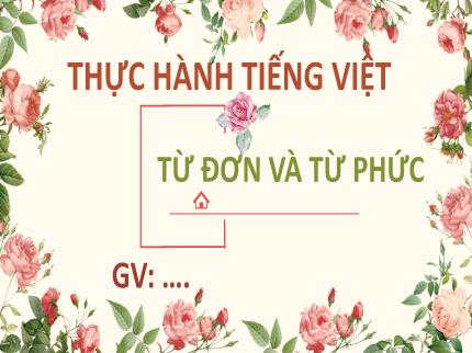 Bài giảng Ngữ văn Lớp 6 - Bài 1: Thực hành tiếng Việt: Từ đơn và từ phức