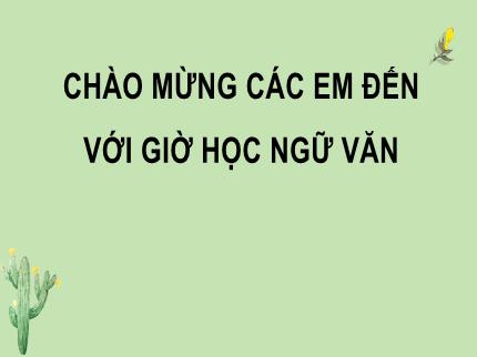 Bài giảng Ngữ văn Lớp 9 - Bài 11: Tổng kết từ vựng (tiếp theo)