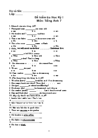 Đề kiểm tra học kỳ I môn Tiếng Anh 7 - Trường THCS An Khê (Có đáp án)
