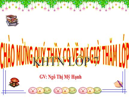 Bài giảng Khoa học tự nhiên 7 - Bài 23: Quang hợp ở thực vật - Ngô Thị Mỹ Hạnh