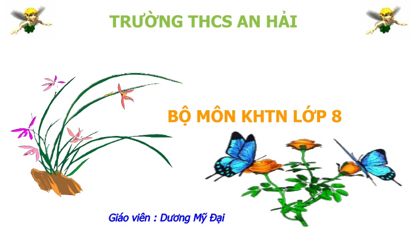 Bài giảng Khoa học tự nhiên 8 - Bài 40: Sinh sản ở người - Dương Mỹ Đại