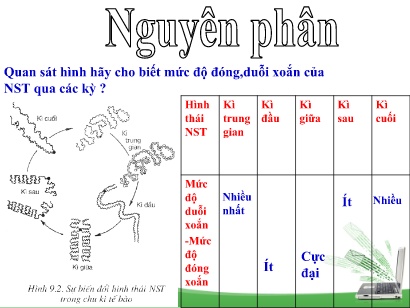 Bài giảng Khoa học tự nhiên 9 - Bài: Nguyên phân