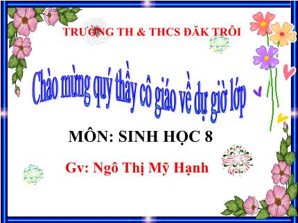 Bài giảng Sinh học 8 - Chủ đề: Tuần hoàn (Tiết 3) - Ngô Thị Mỹ Hạnh