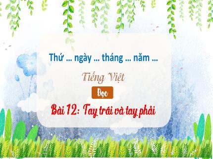 Bài giảng Tiếng Việt 3 (Tập đọc) - Bài 12: Tay trái và tay phải - Nguyễn Thị Thủy