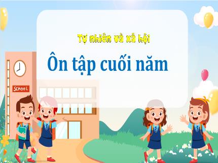 Bài giảng Tự nhiên & Xã hội Khối 3 - Ôn tập cuối học kì II - Trần Thị Hằng