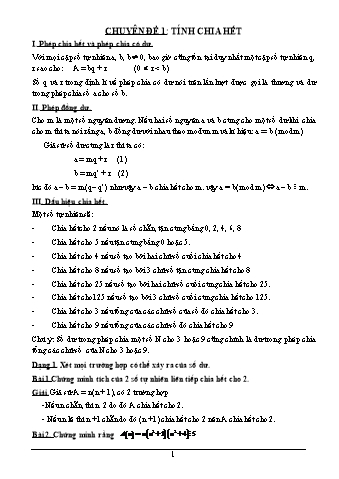 Chuyên đề bồi dưỡng học sinh giỏi môn Toán Lớp 6