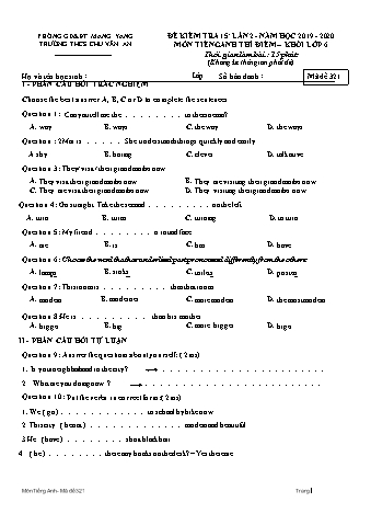 Đề kiểm tra 15 phút môn Tiếng Anh 6 lần 2 năm học 2019-2020 - Trường THCS Chu Văn An (Có đáp án + Ma trận)