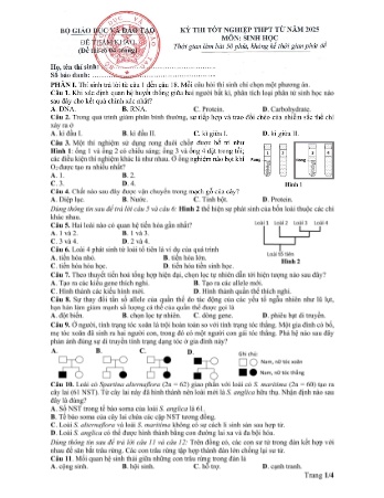Đề tham khảo thi tốt nghiệp THPT từ năm 2025 môn Sinh học (Có đáp án)